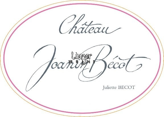 2021 Chateau Joanin Becot Cotes de Castillon